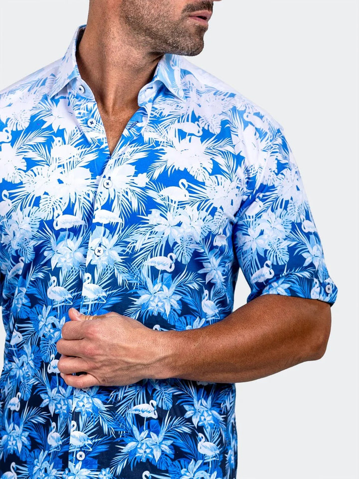 Maceoo Stretch Short-Sleeve Shirt | Galileo Marthyr0267 White